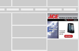 Ace Hardware In-Banner Data Driven