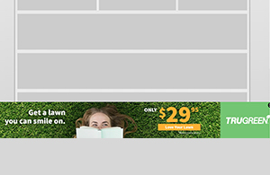 TruGreen Adhesion Expand Resize on Scroll, Responsive
